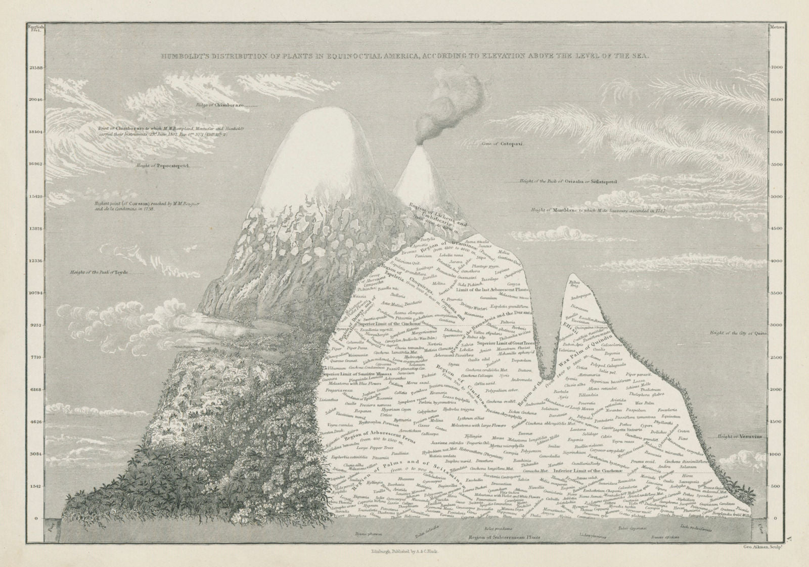 Humboldt's plant distribution in Equinoctial America. SIDNEY HALL 1856 map